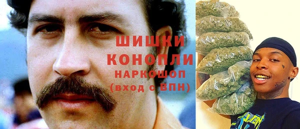 мет Дмитриев