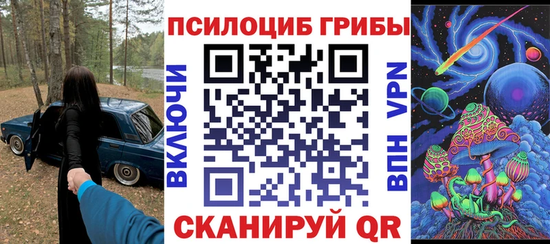 Купить закладки  Качканар  Галлюциногенные грибы Psilocybe 